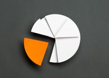 Pie chart showing split between PAYE and dividends