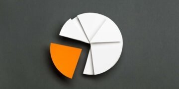 Pie chart showing split between PAYE and dividends
