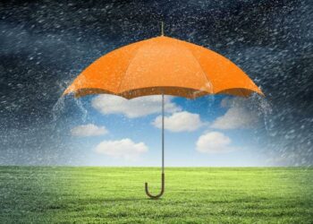 An orange umbrella protecting a patch of gross from main, symbolising how trade credit insurance can protect a business