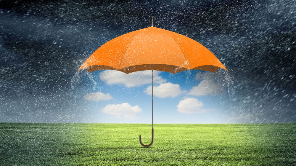 An orange umbrella protecting a patch of gross from main, symbolising how trade credit insurance can protect a business