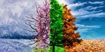 Three changing in different seasons as an example of how seasonal fluctuations can affect business