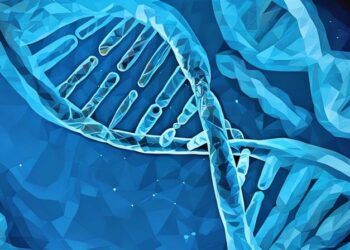 HealthTech Accelerators for Startups