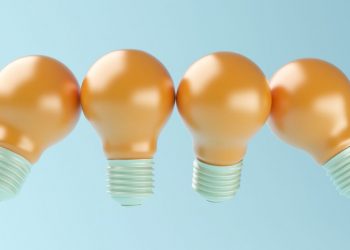 Light bulbs representing the many business ideas entrepreneurs can pursue