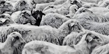 A flock of whitesheep with a blacksheep in the center, exampling how the right co-founder is a one in million find