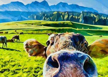 Instagram picture of a funny cow posted on Instagram to sell cows milk