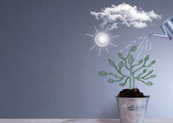 A plant being watered on a sunny day as a metaphor for how a lead should be nurtured carefully to maximise conversion