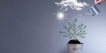 A plant being watered on a sunny day as a metaphor for how a lead should be nurtured carefully to maximise conversion