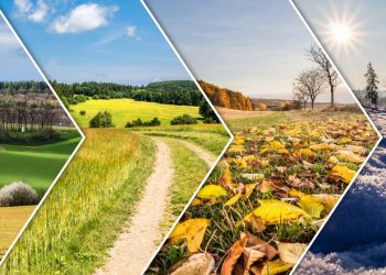 The four seasons shown in terms of weather patterns, as an example of how different seasons affect affiliate marketing niches