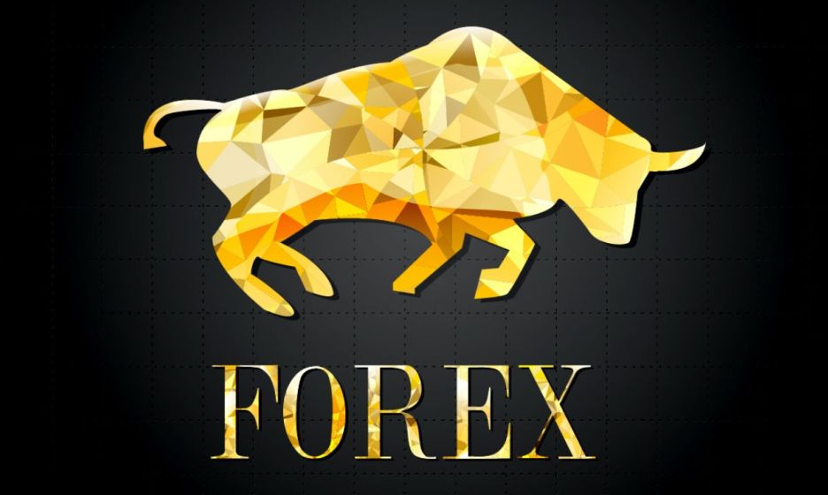 bull in forex