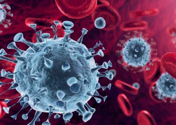 Corona virus molecules in the blood stream