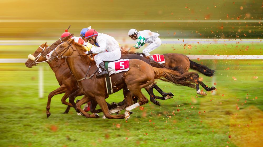 Horses mid race track