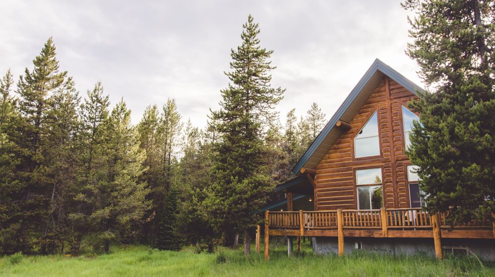 House in the woods representing a log cabin for entrepreneurs.