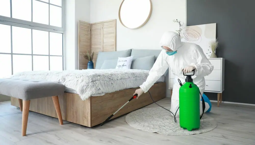 how to monitor hotel garbage areas for pests